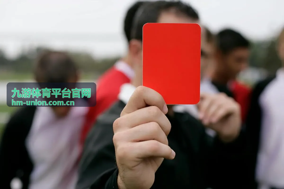九游体育平台官网赛果与数据查询说明